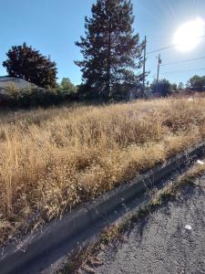 NKA SHELLEY STREET, Klamath Falls, 奧勒崗州 97601, 美國