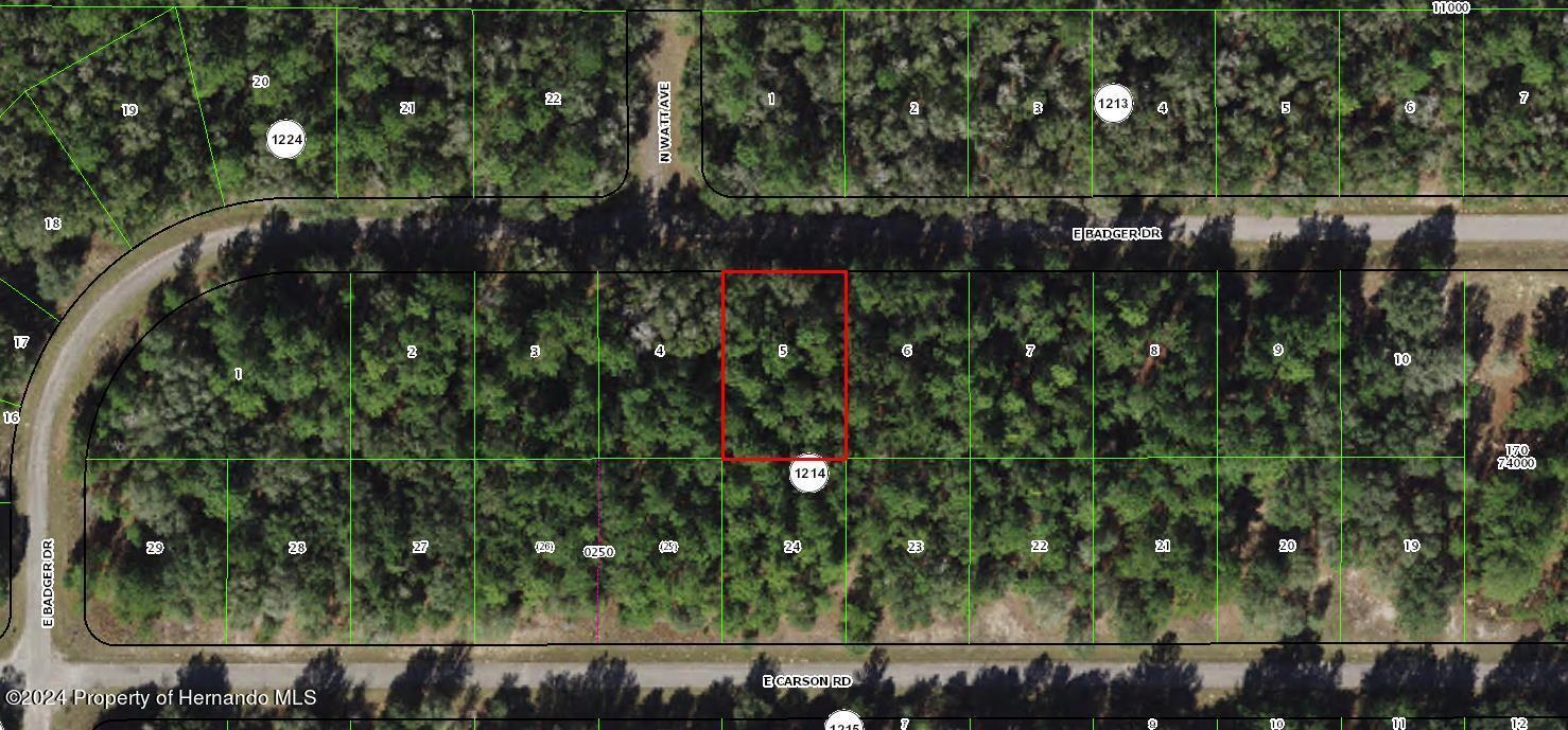 1628 E Badger Drive, Citrus Springs, פלורידה 34434, ארצות הברית של אמריקה 