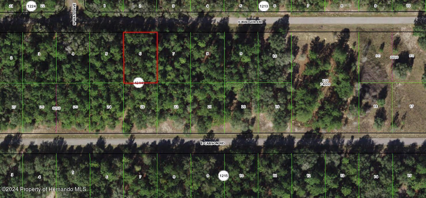 1650 E Badger Drive, Citrus Springs, Florida 34434, USA