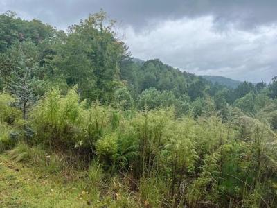 Lot 84 Ridge Peak View, Blairsville, Georgia 30512, Estados Unidos