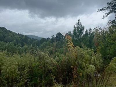 Lot 84 Ridge Peak View, Blairsville, Georgia 30512, Estados Unidos