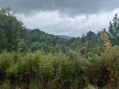 Lot 84 Ridge Peak View, Blairsville, Georgia 30512, Estados Unidos