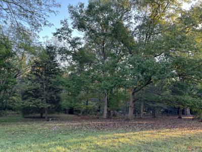 Lot 462 Carriage Road, Powell, Ohio 43065, USA