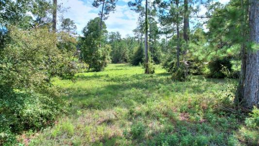 lot 45 Blk A - Swann Dr, Cordele, 죠지아 31015, 미국