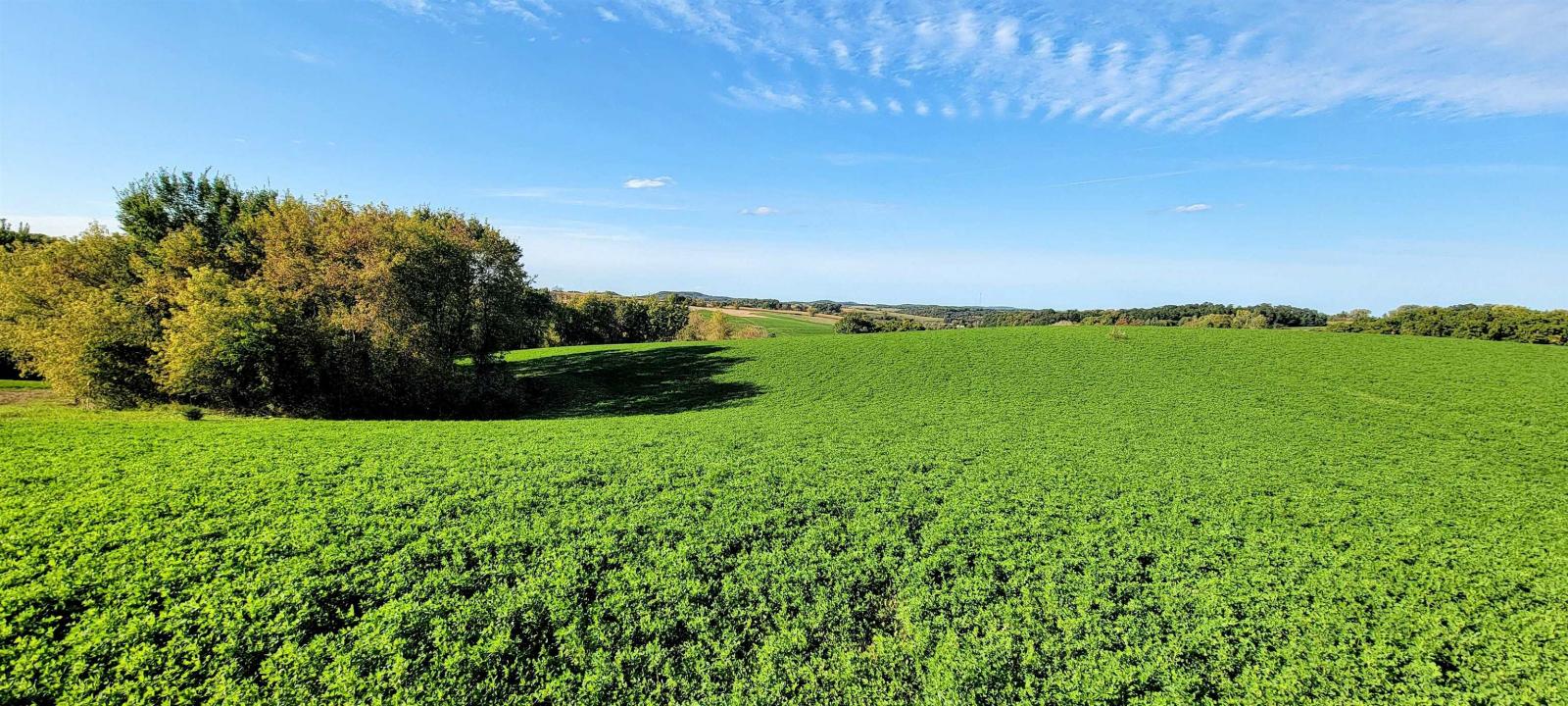 Lot 12 Hemmingford Avenue, Tomah, Wisconsin 54660