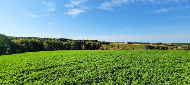 Lot 12 Hemmingford Avenue, Tomah, Wisconsin 54660