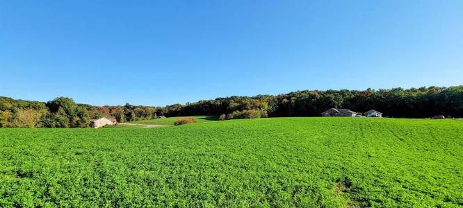Lot 12 Hemmingford Avenue, Tomah, Wisconsin 54660, USA