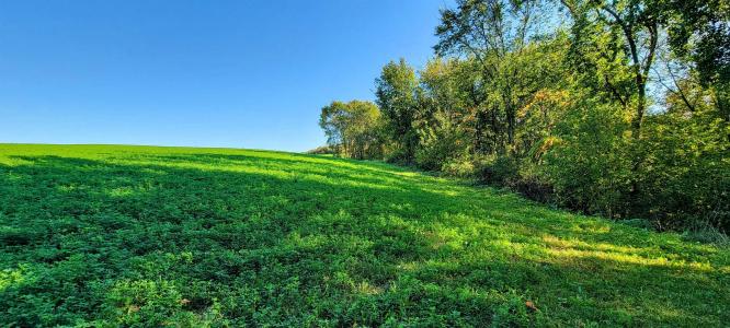 Lot 12 Hemmingford Avenue, Tomah, Wisconsin 54660