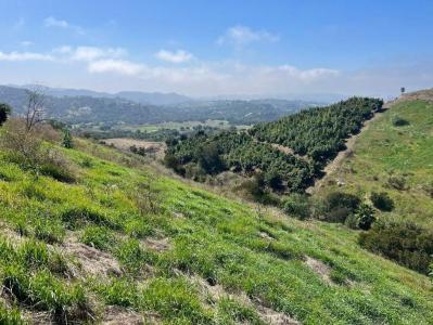 20 Terreno Drive, Temecula, California 92590, USA