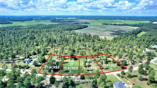 lot 12 Blk B - Swann Dr, Cordele, Géorgie 31015, États-Unis