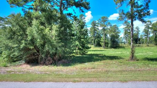 lot 12 Blk B - Swann Dr, Cordele, 죠지아 31015, 미국