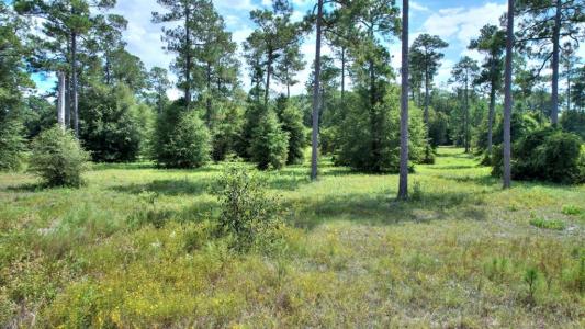 lot 47 Blk A - Swann Dr, Cordele, 죠지아 31015, 미국