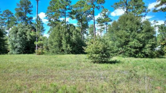 lot 13 Blk A - N Coney Rd, Cordele, גאורגיה 31015, ארצות הברית של אמריקה 