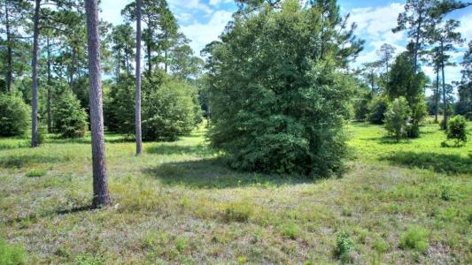 lot 46 Blk A - Swann Dr, Cordele, 죠지아 31015, 미국