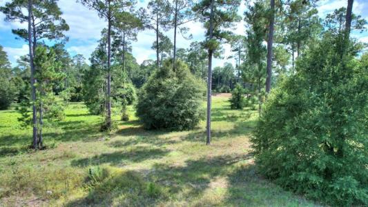 lot 48 Blk A - Swann Dr., Cordele, 죠지아 31015, 미국