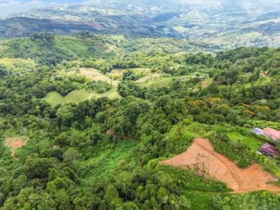 Savegre Quepos, Puntarenas 00001, Costa Rica