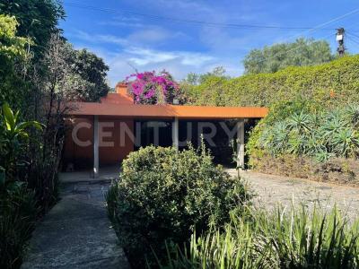 Alvaro Obregón, Ciudad De México 01900, Mexico