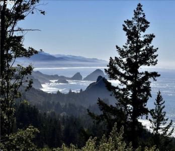 38097 PACIFIC HIGHLANDS DR, Port Orford, Oregon 97465, USA