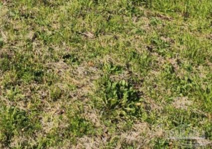 000 Hwy 90 #At the intersection of Hwy 90 & Timber Crest Rd., Milton, フロリダ 32583, アメリカ合衆国