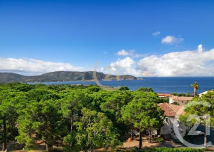 Calvi, Corse 20260, Francia