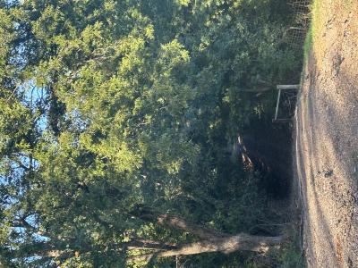 Denson Rd, Union City, Tennessee 38261, USA