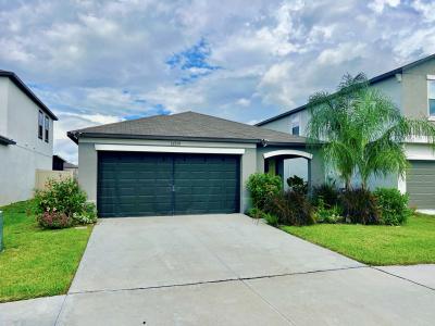 31559 BARREL WAVE WAY, Wesley Chapel, Florida 33545, USA