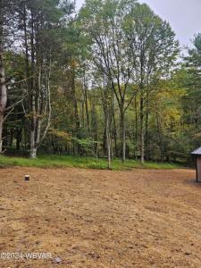 131 Spring House Road, Muncy Valley, 宾夕法尼亚州 17758, 美国