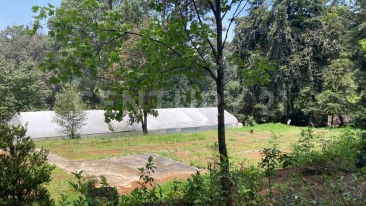 Ruta de Colorines lote 11, Sección Fontanas, Fracc Avandaro Fracción 21,, Valle De Bravo, 墨西哥州 51200, 墨西哥