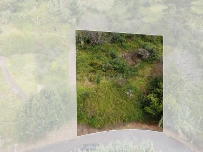 Calheta, Madeira 9370-725, Portugal