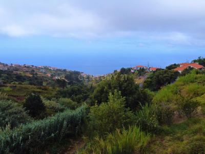 Calheta, Madeira 9370-725, Portugal