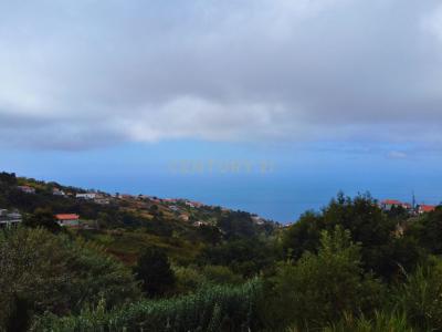 Calheta, Madeira 9370-725, Portugal