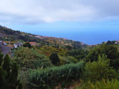 Calheta, Madeira 9370-725, Portugal