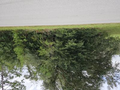 Lot 13 SW 156th Court, Ocala, Florida 34481, USA