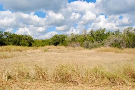 472 Falconwood Dr, San Marcos, Texas 78666, USA