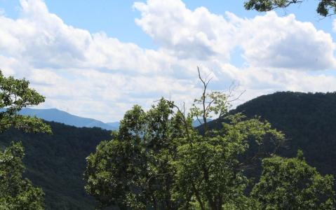 143 Shiloh Ridge, Hayesville, NC 28904, USA