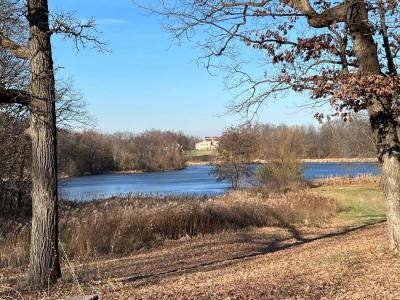 11217 Burr (parcel 2) Street, Crown Point, Индиана 46307, Соединенные Штаты