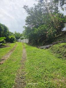 Aquiares , Turrialba Turrialba, Cartago 30501, コスタリカ