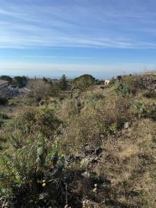 Belpasso, Sicilia 95032, イタリア