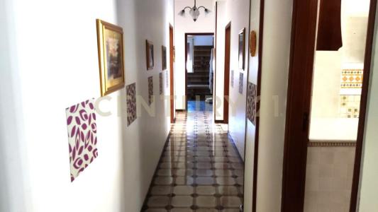 Paternò, Sicilia 95047, Italia