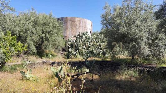 Belpasso, Sicilia 95032, Italy