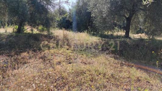 Belpasso, Sicilia 95032, Italy