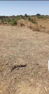 Motta Sant'Anastasia, Sicilia 95040, Italie