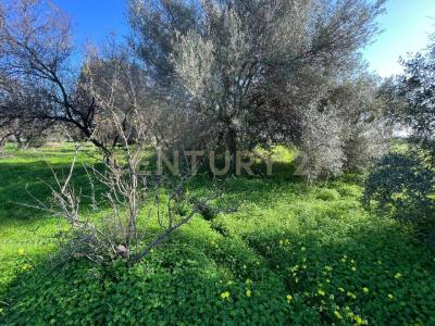 Motta Sant'Anastasia, Sicilia 95040, Italia