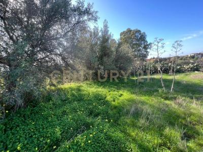 Motta Sant'Anastasia, Sicilia 95040, Italia