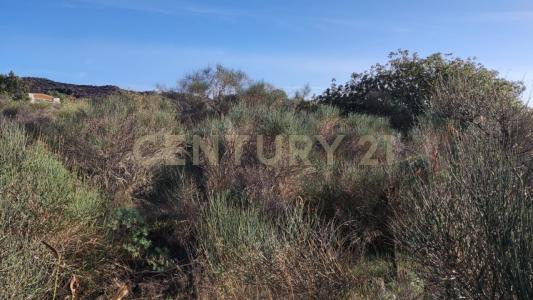 Camporotondo Etneo, Sicilia 95040, イタリア