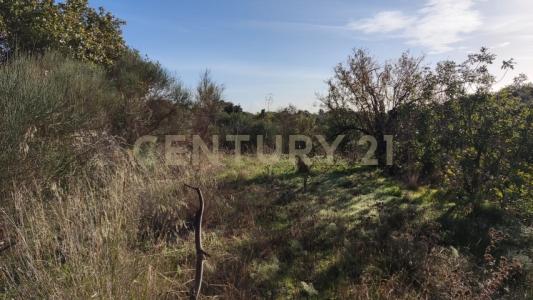 Camporotondo Etneo, Sicilia 95040, イタリア