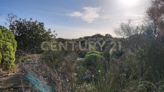 Camporotondo Etneo, Sicilia 95040, イタリア