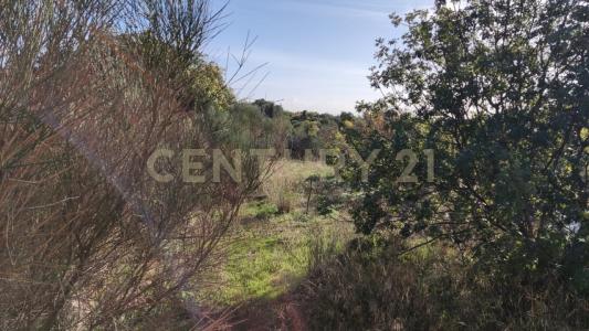 Camporotondo Etneo, Sicilia 95040, イタリア