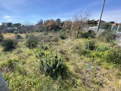 Mascalucia, Sicilia 95030, Italy