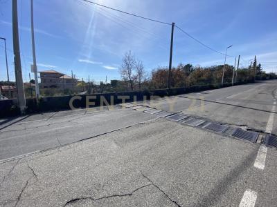 Mascalucia, Sicilia 95030, Italy